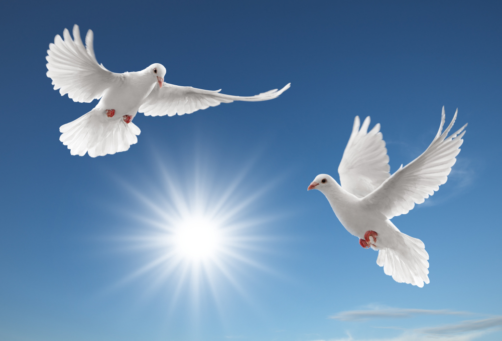 陜西太陽(yáng)景環(huán)?？萍加邢薰炯庸S(chǎng)業(yè)務(wù)承攬公告